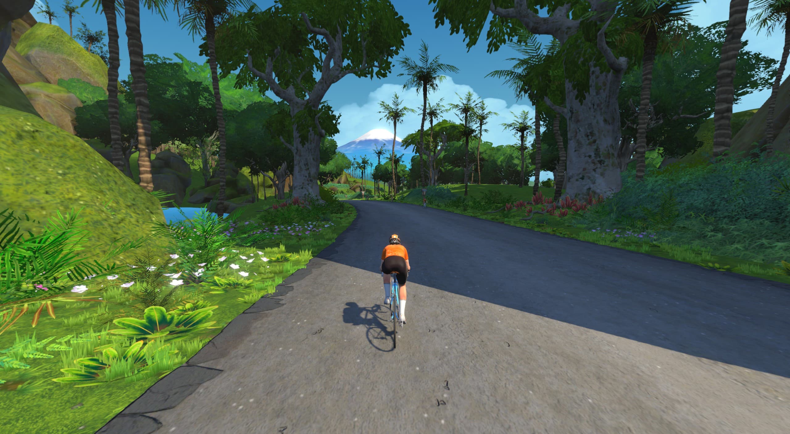 Дайджест заездов ZwiftPower.ru: 9 – 15 февраля 2026